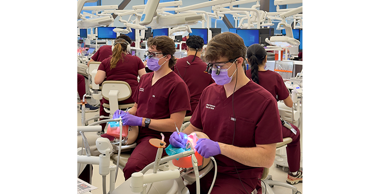 Dental school requirements